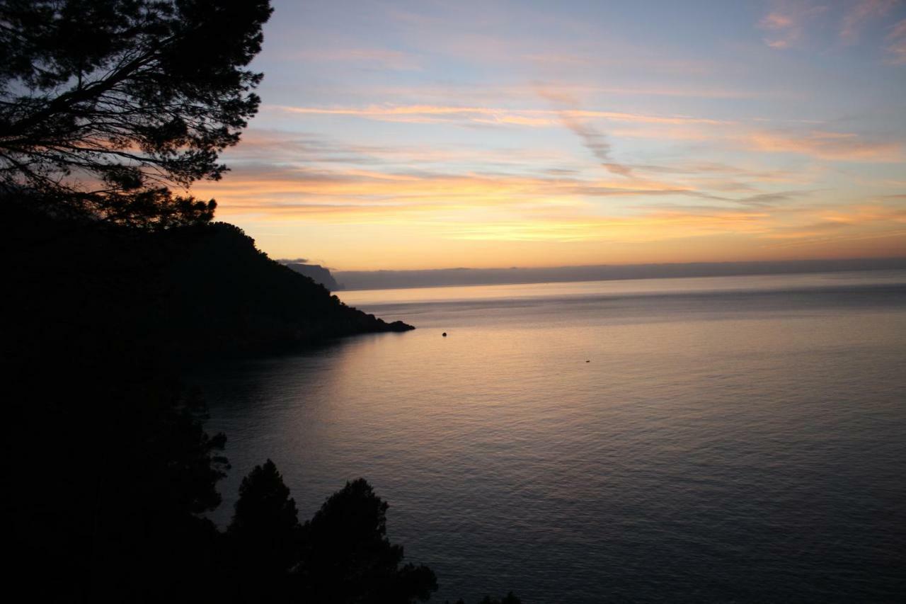 Son Riera Petit Paradis Banyalbufar Buitenkant foto