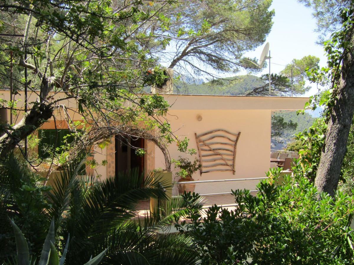 Son Riera Petit Paradis Banyalbufar Buitenkant foto
